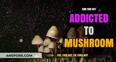 Mushroom Addiction: Unraveling the Truth About Psilocybin Dependence