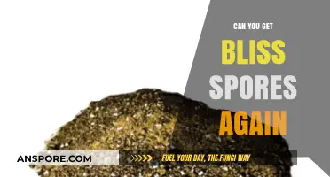 Reviving Bliss Spores: Can You Regrow or Reclaim Them Again?