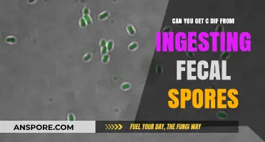 Can You Get C. Diff from Ingesting Fecal Spores?