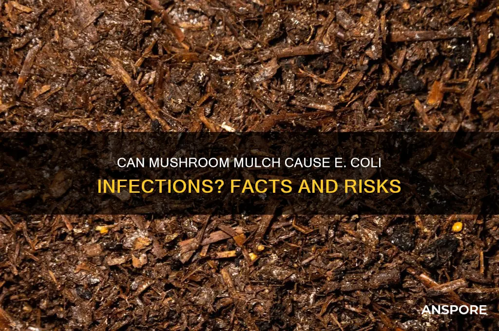 can you get ecoli from eating mushroom mulch
