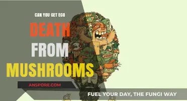 Exploring Ego Death: Can Psilocybin Mushrooms Dissolve the Self?