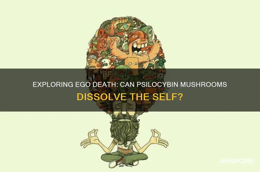 can you get ego death from mushrooms