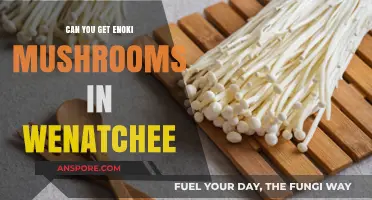 Finding Enoki Mushrooms in Wenatchee: A Local Foodie's Guide
