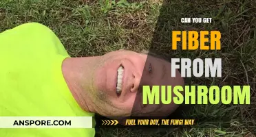 Mushrooms as a Fiber Source: Unlocking Their Nutritional Potential