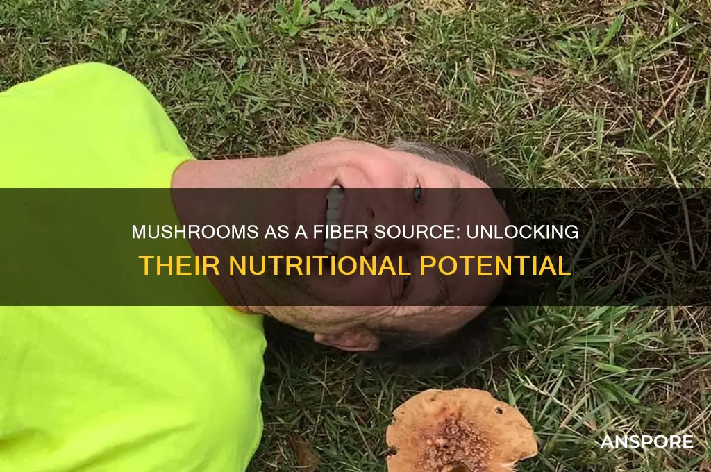 can you get fiber from mushrooms