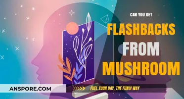 Mushroom Flashbacks: Unraveling the Truth Behind Psychedelic Experiences