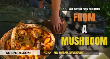 Can Mushrooms Cause Food Poisoning? Risks and Safe Consumption Tips