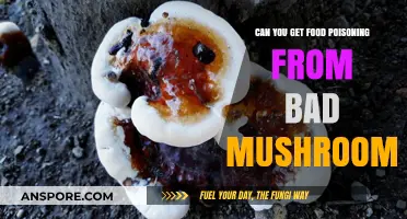 Can Bad Mushrooms Cause Food Poisoning? Risks and Symptoms Explained
