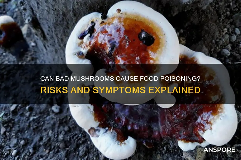 can you get food poisoning from bad mushrooms