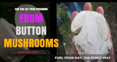 Can Button Mushrooms Cause Food Poisoning? Facts and Risks Explained