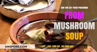 Can Mushroom Soup Cause Food Poisoning? Risks and Prevention Tips