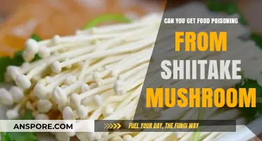 Can Shiitake Mushrooms Cause Food Poisoning? Facts and Risks