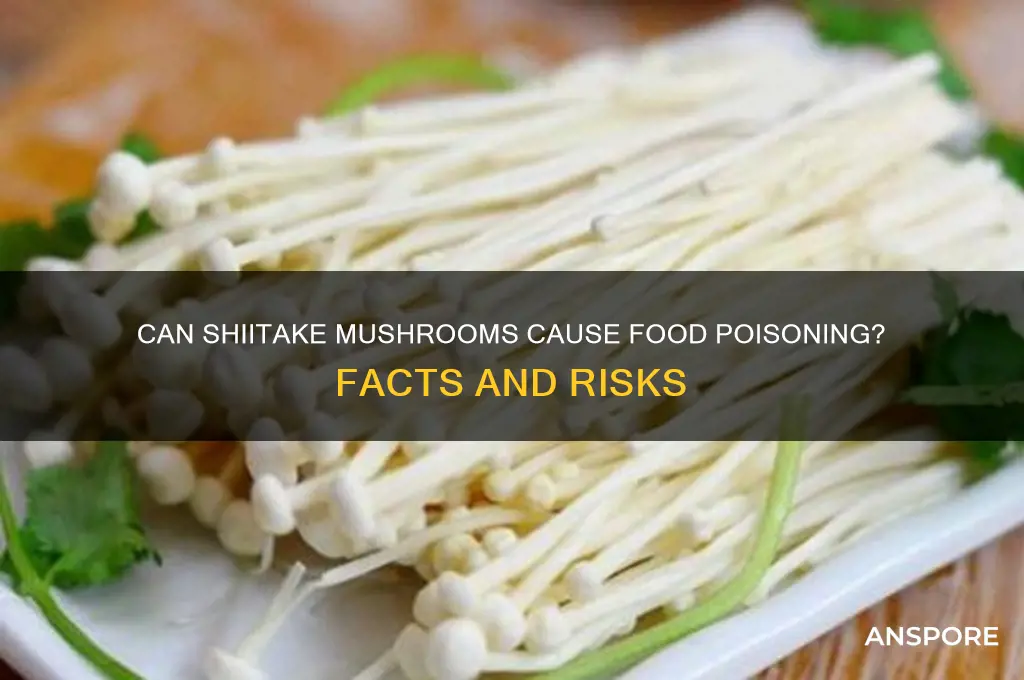 can you get food poisoning from shiitake mushrooms
