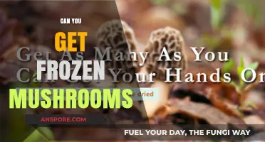 Can You Freeze Mushrooms? A Guide to Storing Fungi Freshly