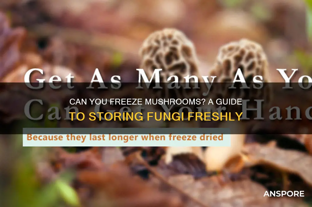 can you get frozen mushrooms