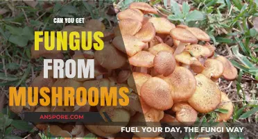 Can Mushrooms Cause Fungal Infections? Separating Fact from Fiction