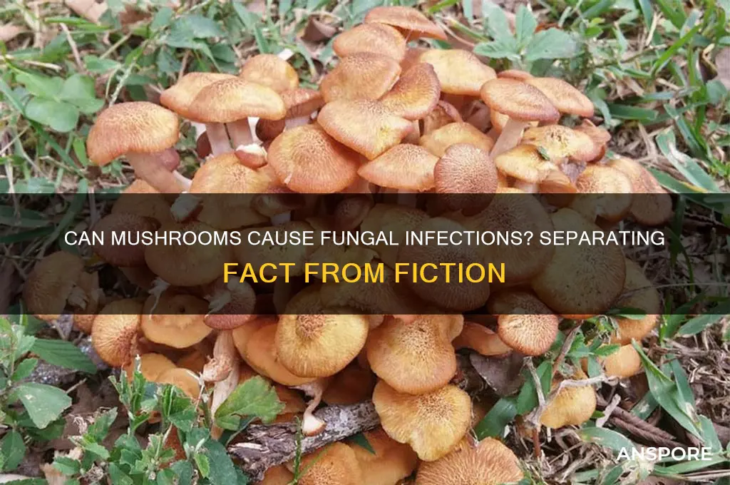 can you get fungus from mushrooms