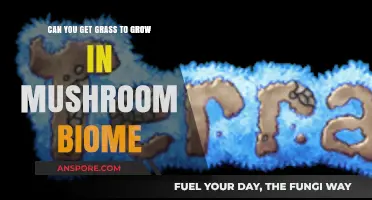 Growing Grass in Mushroom Biomes: Challenges and Practical Solutions