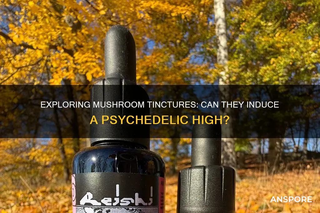 can you get high from mushroom tincture