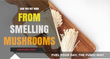 Can Smelling Mushrooms Get You High? Facts vs. Fiction
