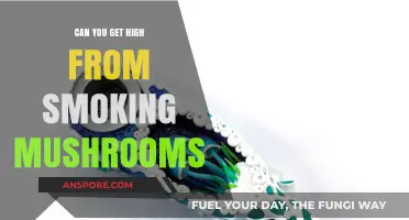 Smoking Mushrooms: Can It Really Get You High? Facts Revealed