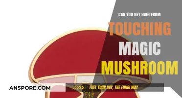 Can Touching Magic Mushrooms Cause a Psychedelic High?