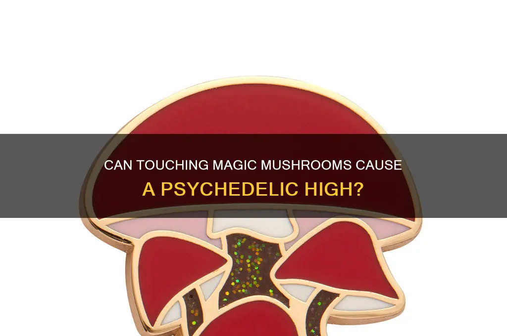 can you get high from touching magic mushrooms