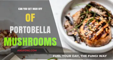 Can Portobello Mushrooms Get You High? Separating Fact from Fiction