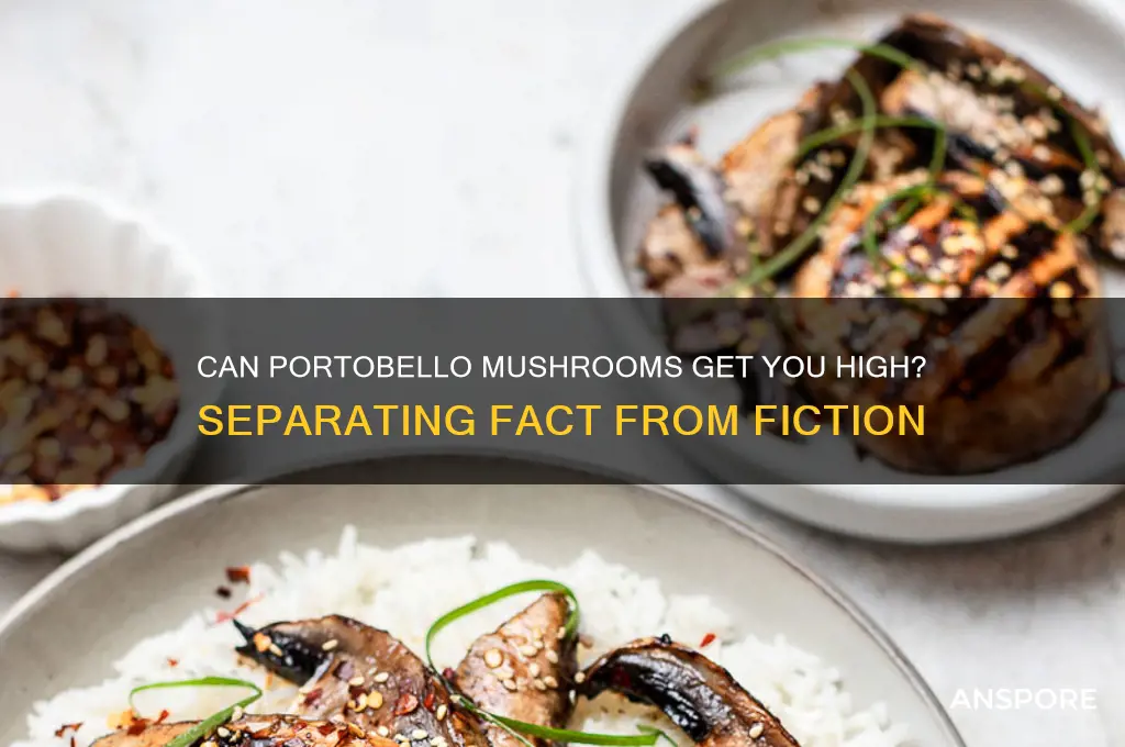 can you get high off of portobella mushrooms