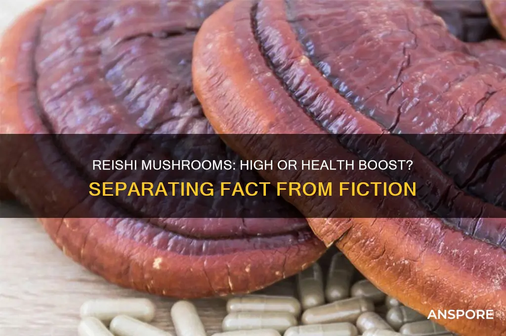 can you get high off reishi mushrooms