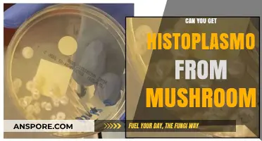 Histoplasmosis and Mushrooms: Unraveling the Connection and Risks Involved