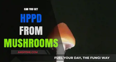 Can Mushrooms Cause HPPD? Unraveling the Psychedelic Connection