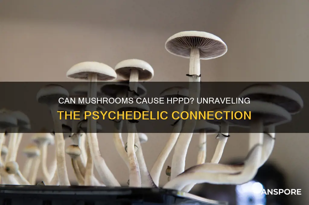 can you get hppd from mushrooms