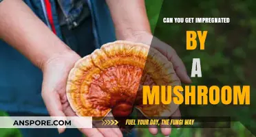 Mushroom Impregnation Myth: Separating Fact from Fiction in Fungi Fertility