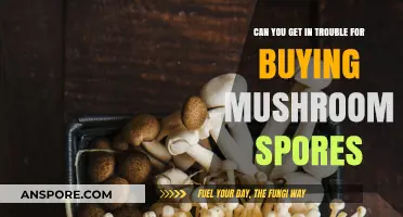 Buying Mushroom Spores: Legal or Risky? What You Need to Know