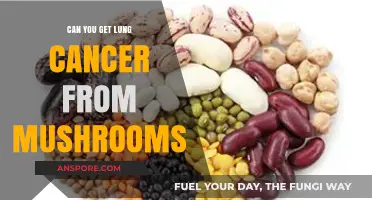 Can Mushrooms Cause Lung Cancer? Debunking Myths and Facts