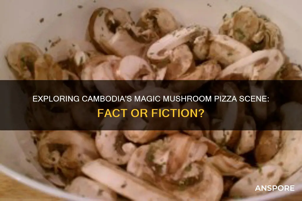 can you get magic mushrooms pizza in cambodia
