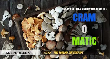 Maximizing Mushroom Output: Cram-O-Matic Secrets for Optimal Harvests