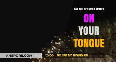 Can Mold Spores Land on Your Tongue? Facts and Risks Explained