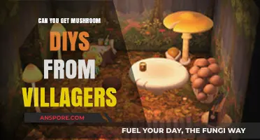 Discovering Mushroom DIYs: Can Villagers Share Crafting Secrets?