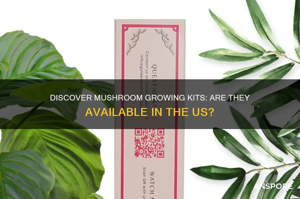 can you get mushroom growing kits in us