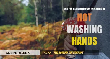 Mushroom Poisoning Risk: Does Skipping Hand Washing Pose a Threat?