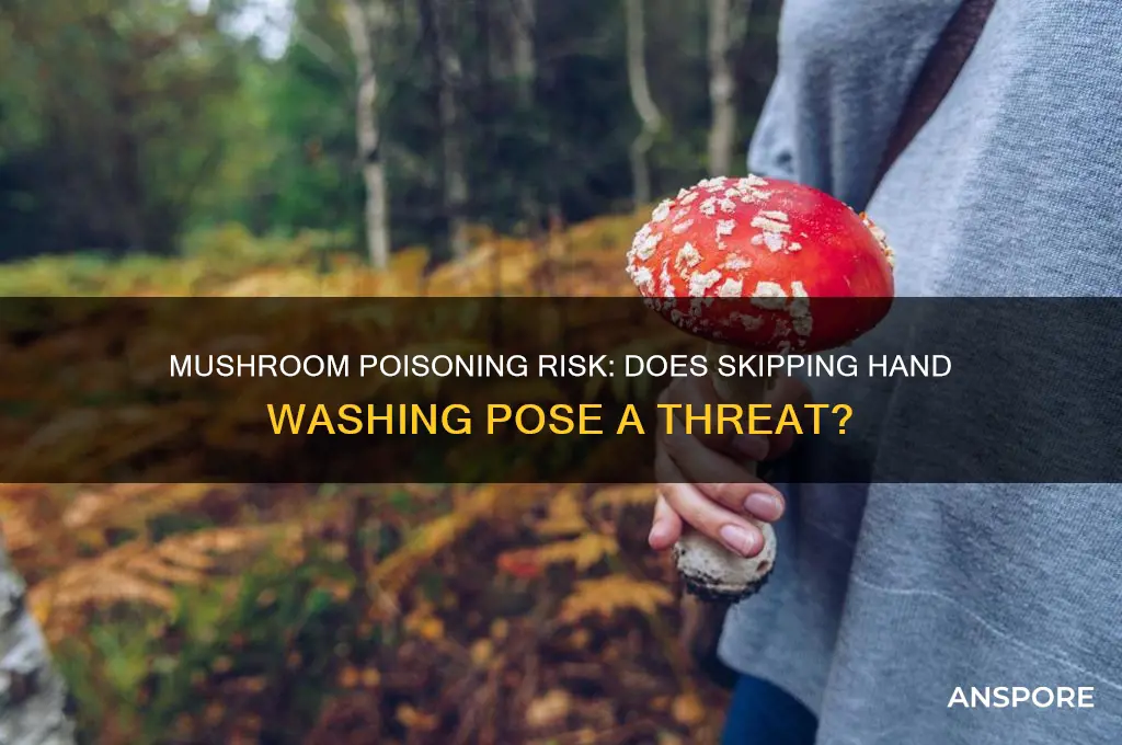 can you get mushroom poisoning by not washing hands