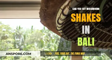 Exploring Bali's Mushroom Shakes: Availability, Legality, and Cultural Insights