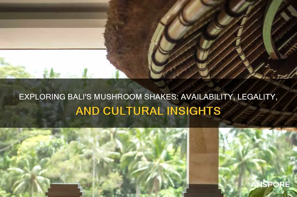 can you get mushroom shakes in bali