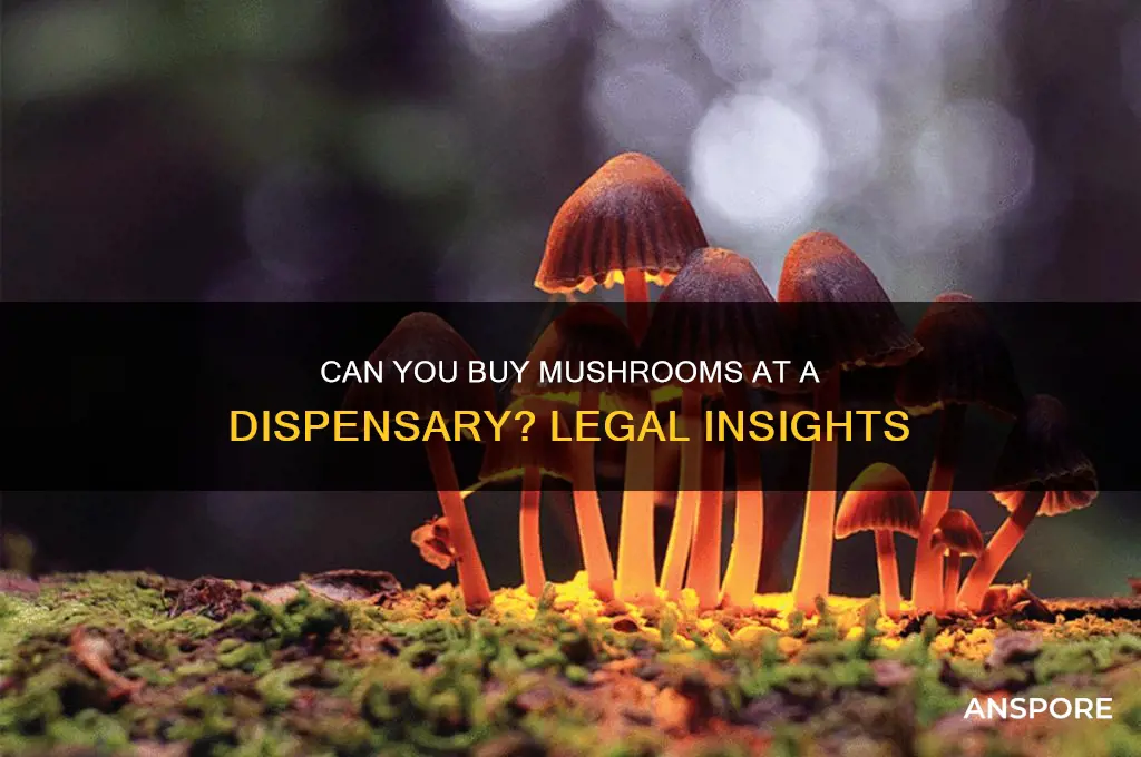 can you get mushrooms at a dispensary