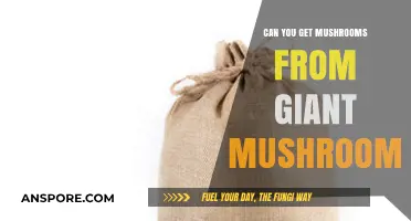 Harvesting Mushrooms from Giant Fungi: Myth or Reality?