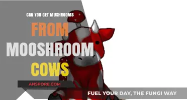 Do Mooshroom Cows Produce Mushrooms? Unveiling Minecraft's Fungal Mystery