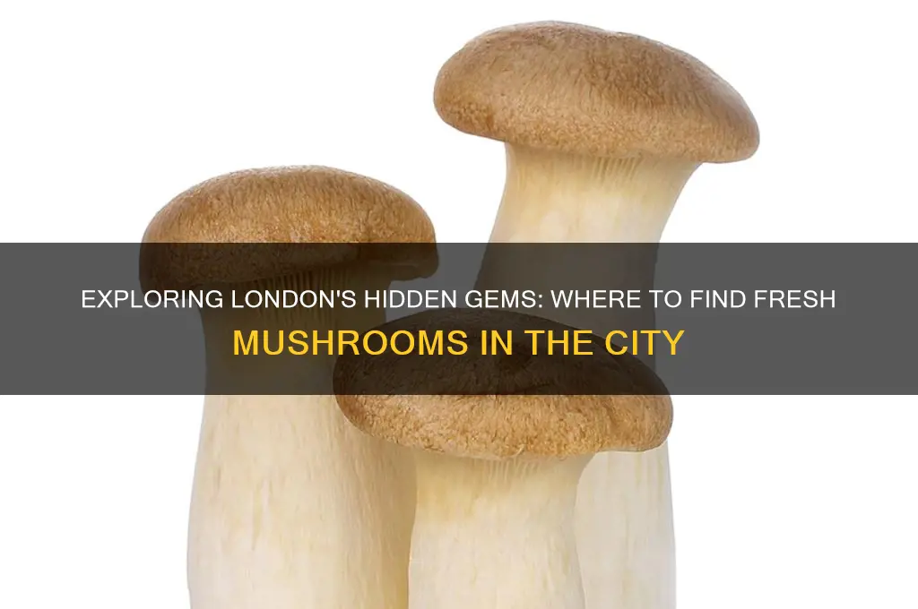 can you get mushrooms in london