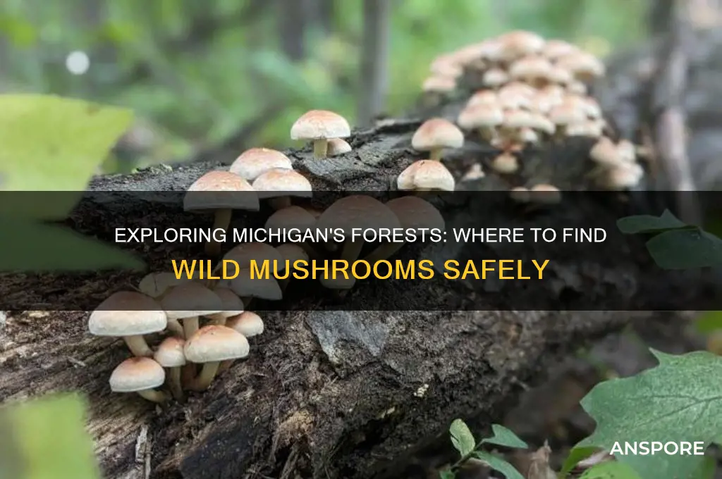 can you get mushrooms in michigan